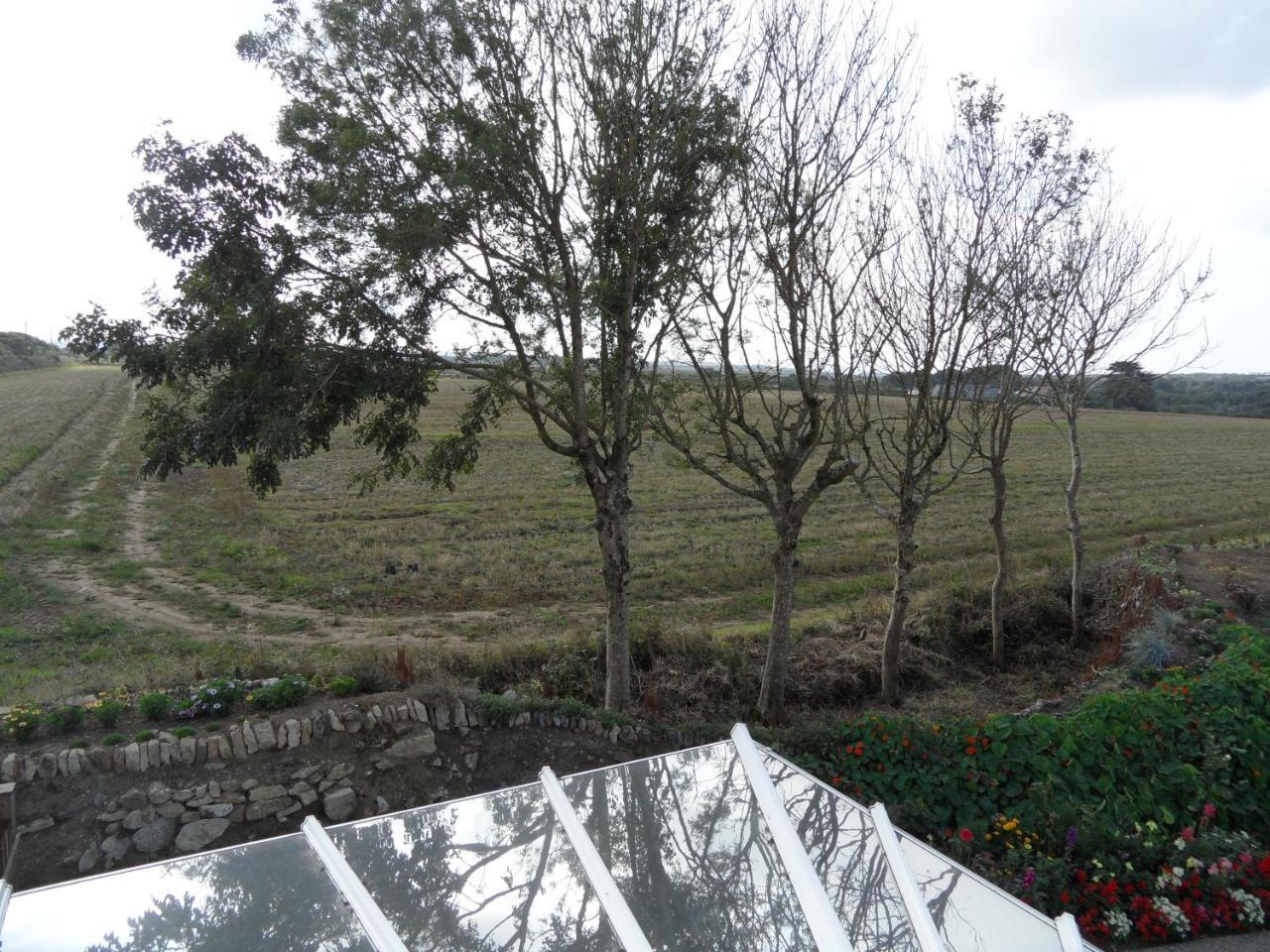 Bed and Breakfast Monterey Pines Helston Esterno foto